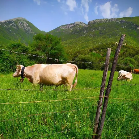 Alojamento de Turismo Rural Colloreto Morano Calabro