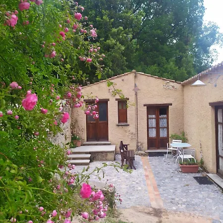 Colloreto Farm stay *