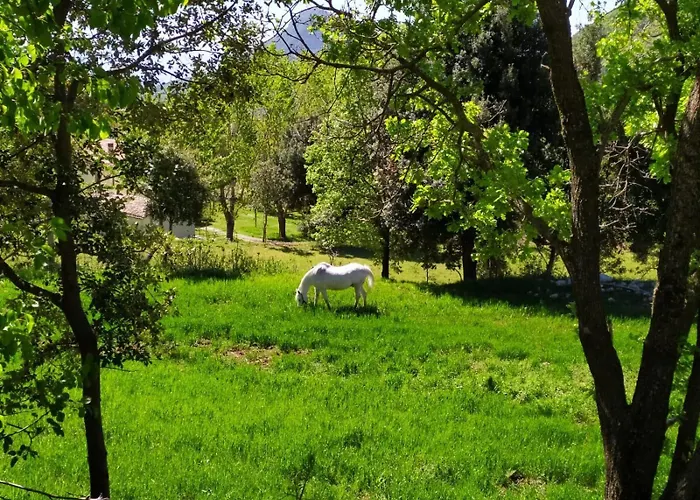 Colloreto * Morano Calabro