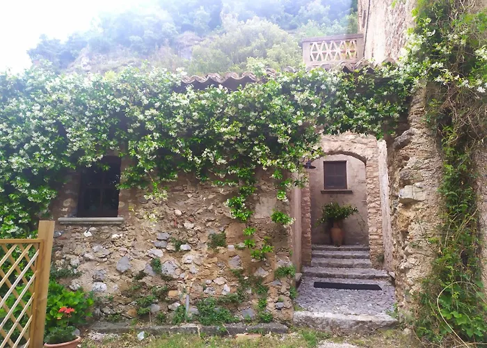 Colloreto Alojamento de Turismo Rural *