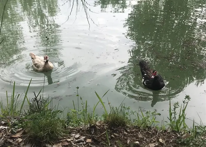 Colloreto Agroturismo Morano Calabro