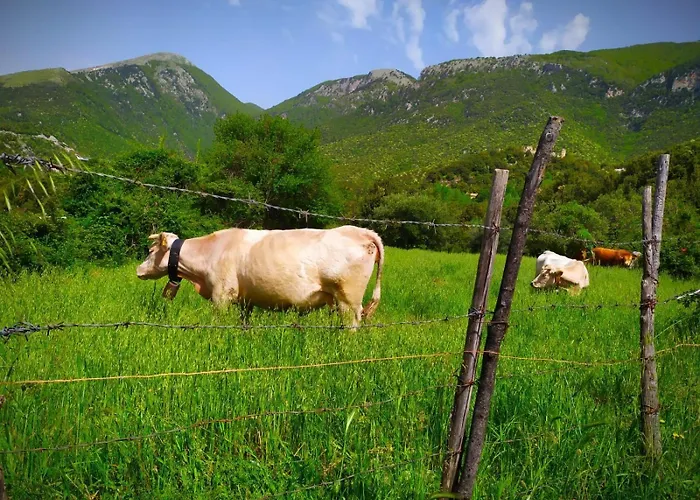 Alojamento de Turismo Rural Colloreto Morano Calabro